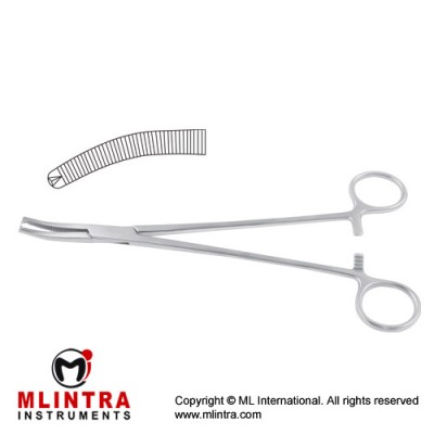 Wertheim Hysterectomy Forcep Curved - 1 x 2 Teeth Stainless Steel, 22.5 cm - 8 3/4"
